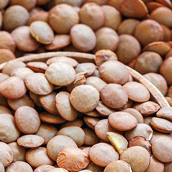 Lenticchie 1 kg